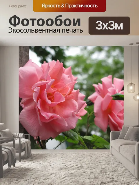 Фотообои Розы