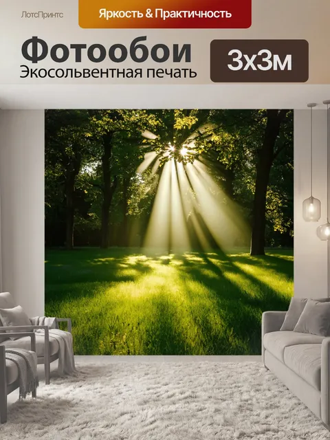Фотообои солнечные лучи пронизывают кроны деревьев в лесу, создавая затененные участки на зелёной траве