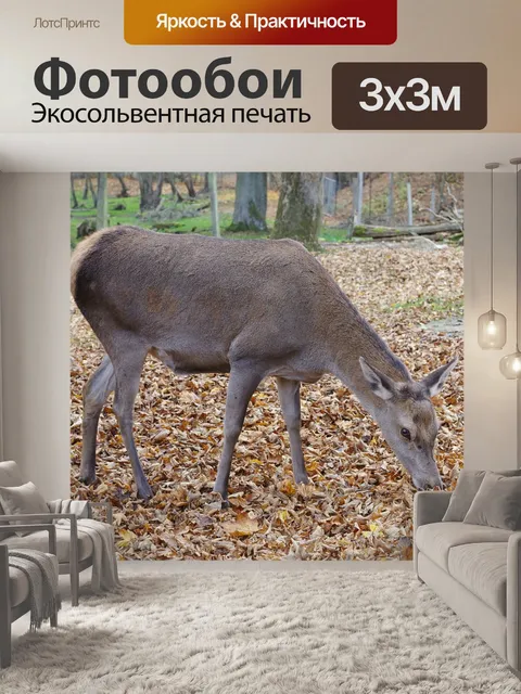 Фотообои Олень