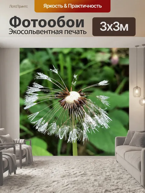 Фотообои Лес