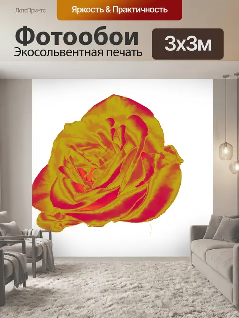 Фотообои Оранжево-желтая роза
