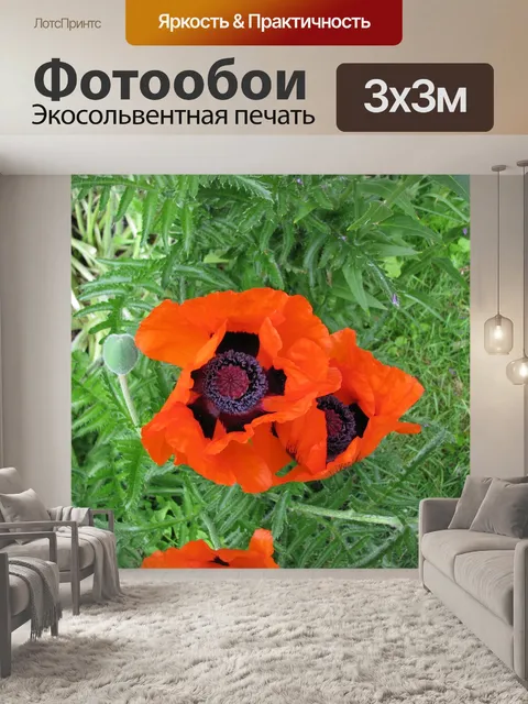 Фотообои Маки