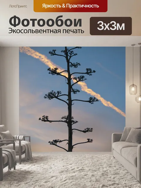 Фотообои Силуэт растения