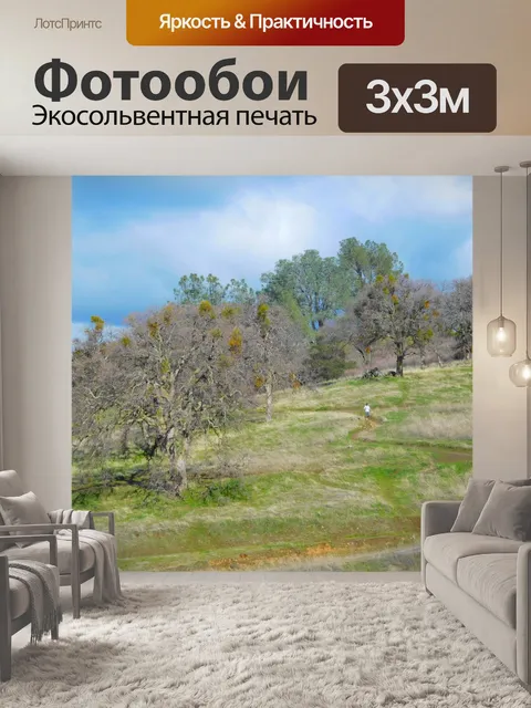 Фотообои Холмы на Фолсом озера 636