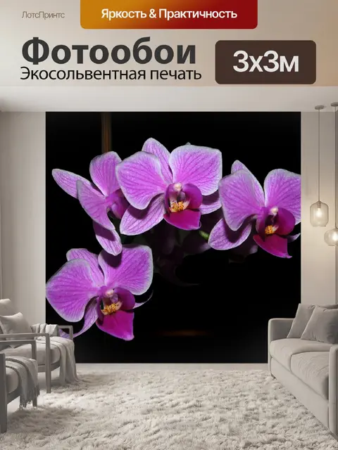 Фотообои Орхидеи