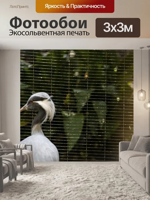 Фотообои Журавль-красавка