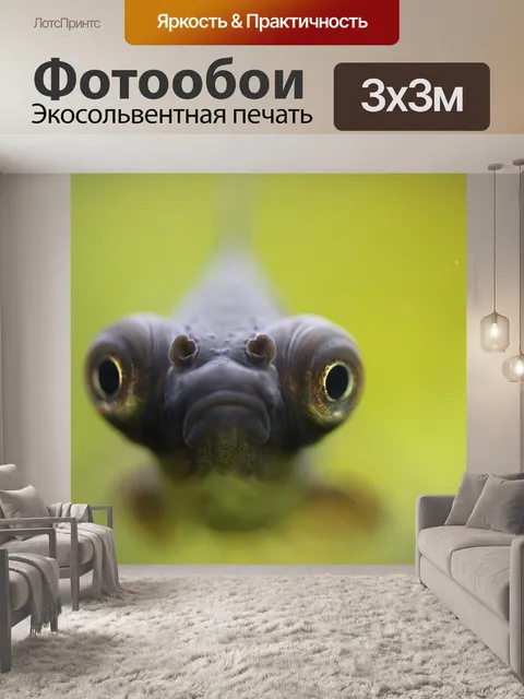 Фотообои Вуаль