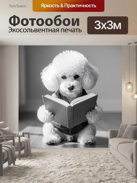 Фотообои Пудель с книгой в лапах
