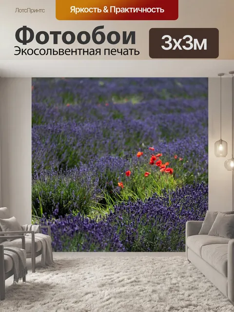 Фотообои Лаванда