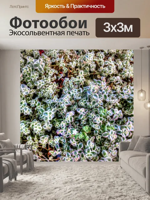 Фотообои Белые цветы