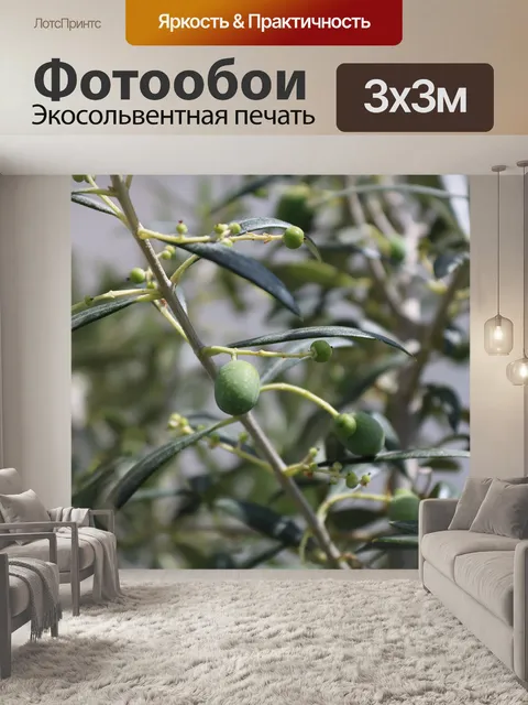 Фотообои Оливковый