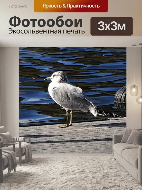 Фотообои Чайка на посадку лодка