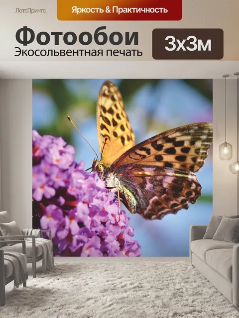 Фотообои Бабочка