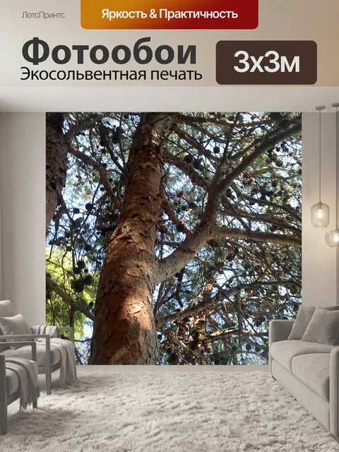 Фотообои Деревья