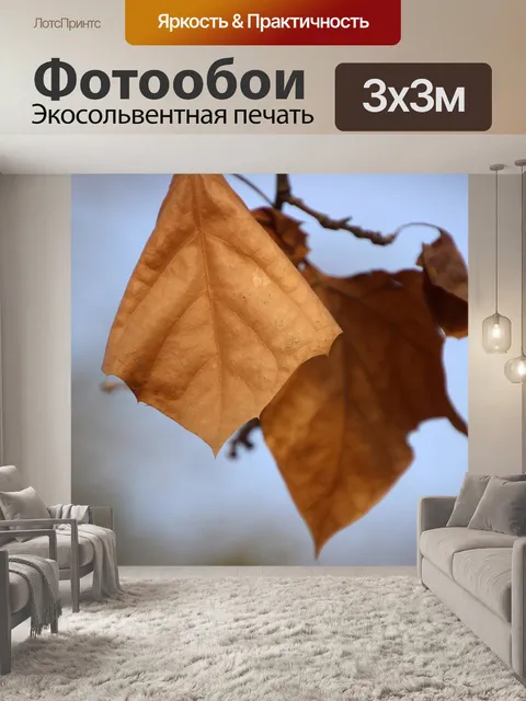 Фотообои Листья