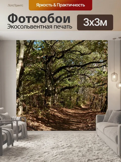 Фотообои Лес