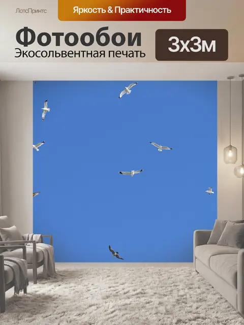 Фотообои Птицы
