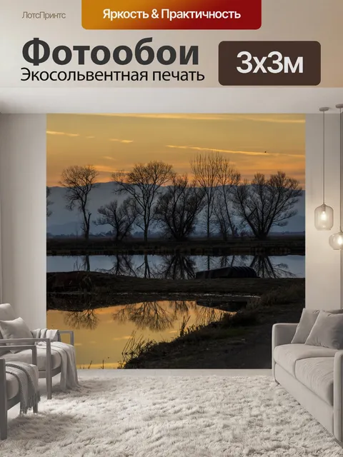 Фотообои Закат на болотах