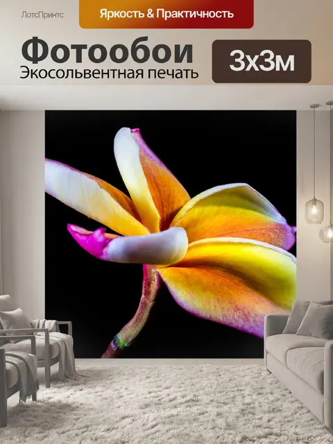 Фотообои Цвести