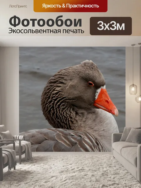 Фотообои Животное