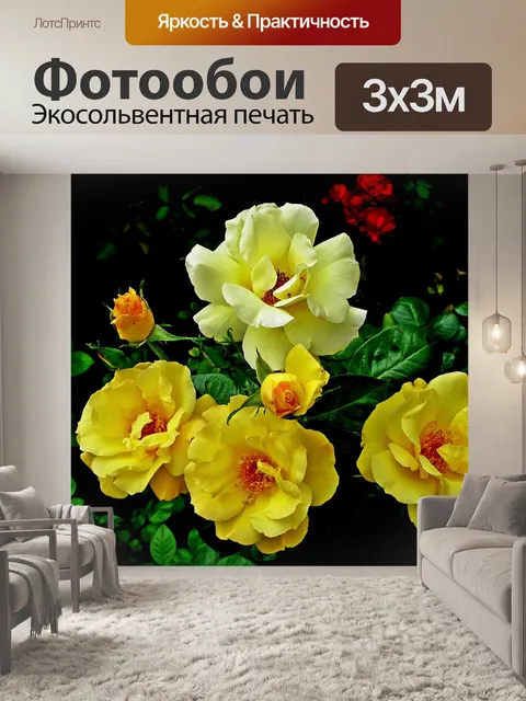 Фотообои Розы