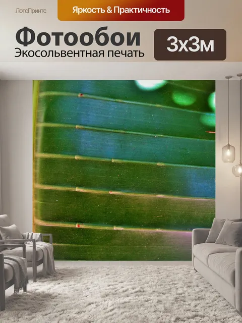 Фотообои темно-зеленый банан дерево лист