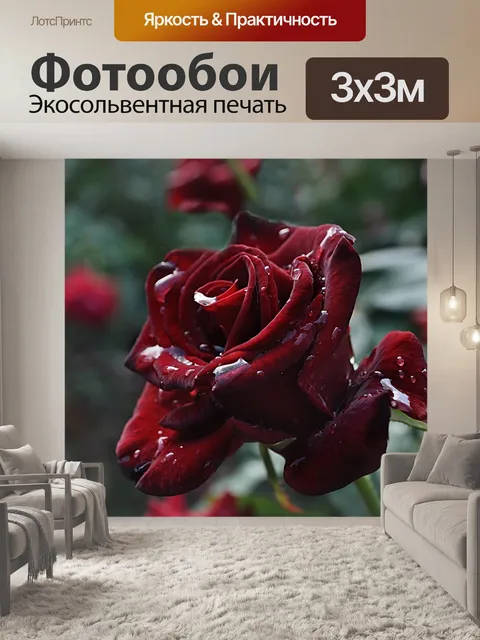 Фотообои Роза