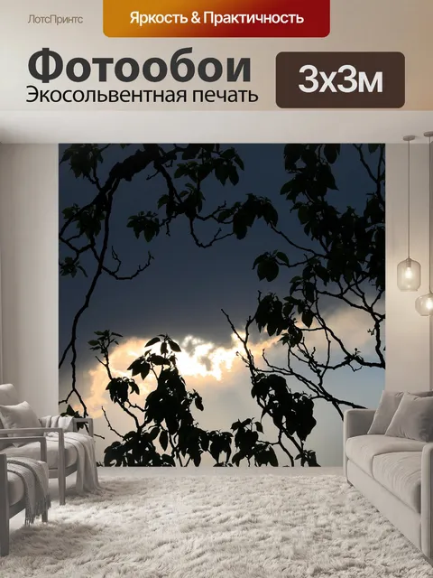 Фотообои Дерево и небо