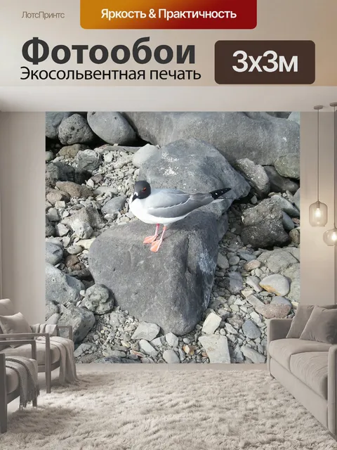 Фотообои Птица