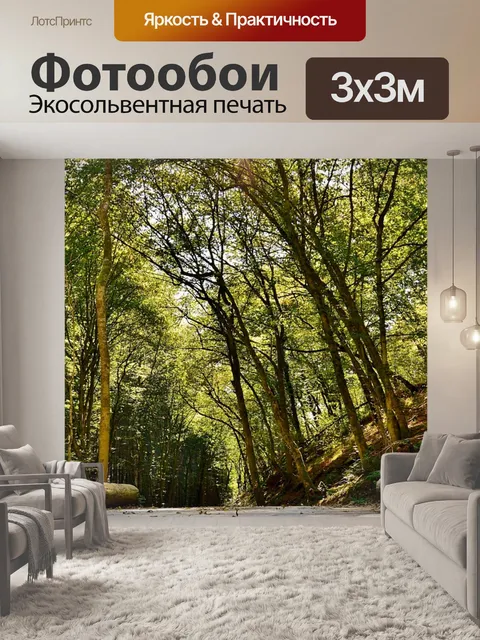 Фотообои Лесная тропа