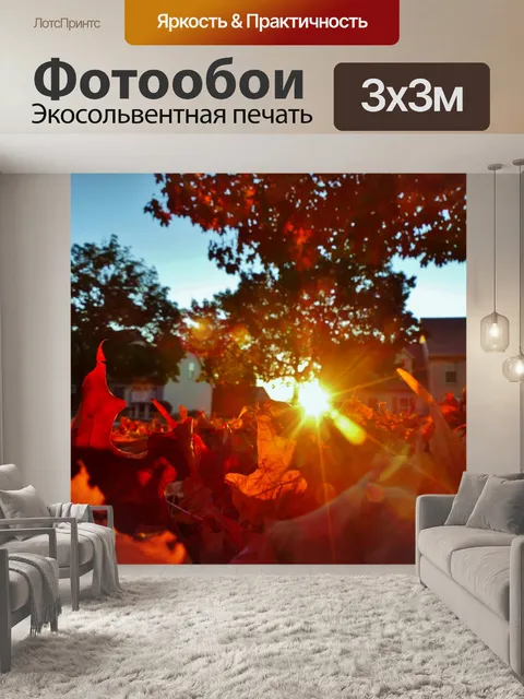 Фотообои Осенний день