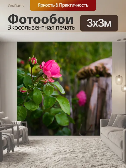Фотообои Роза