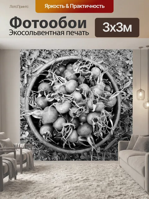 Фотообои Еда