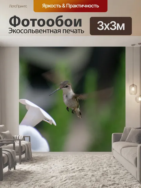 Фотообои Птица