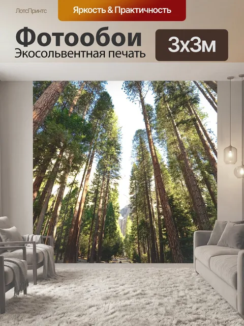 Фотообои Деревья
