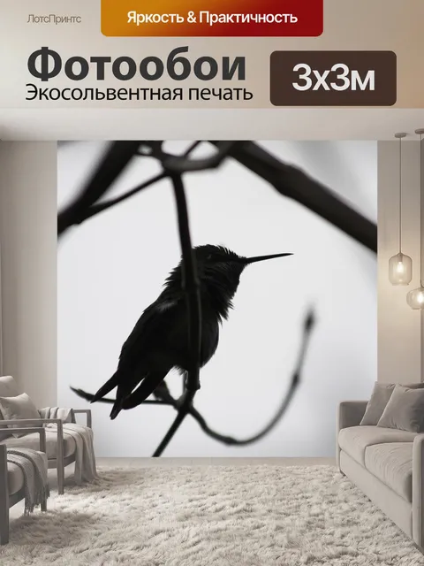 Фотообои Колибри