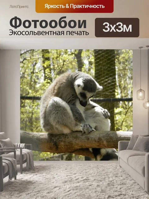 Фотообои Маки