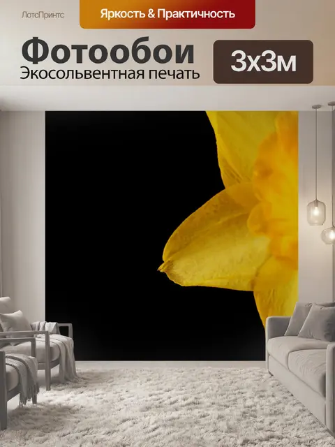 Фотообои Желтая daffodil