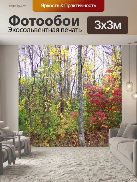 Фотообои Осенние деревья