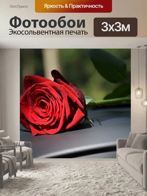 Фотообои Красная роза на приборной панели автомобиля