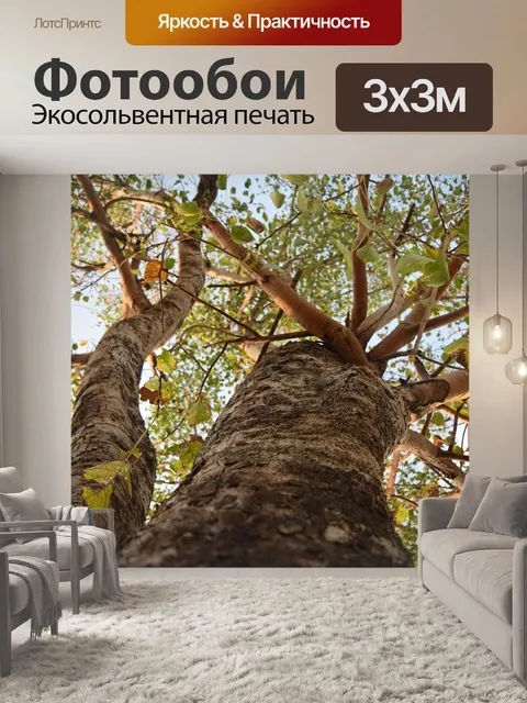 Фотообои Дерево
