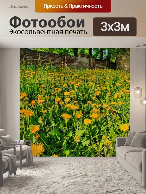 Фотообои Поляна