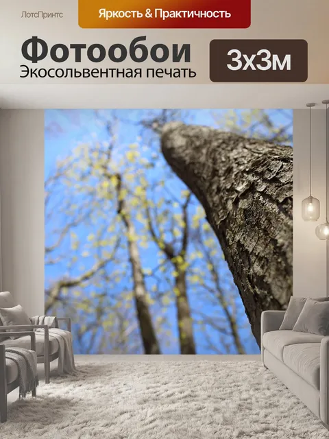 Фотообои Деревья
