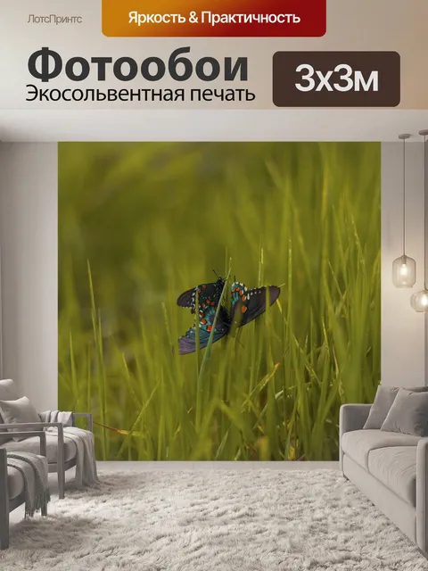 Фотообои Бабочка