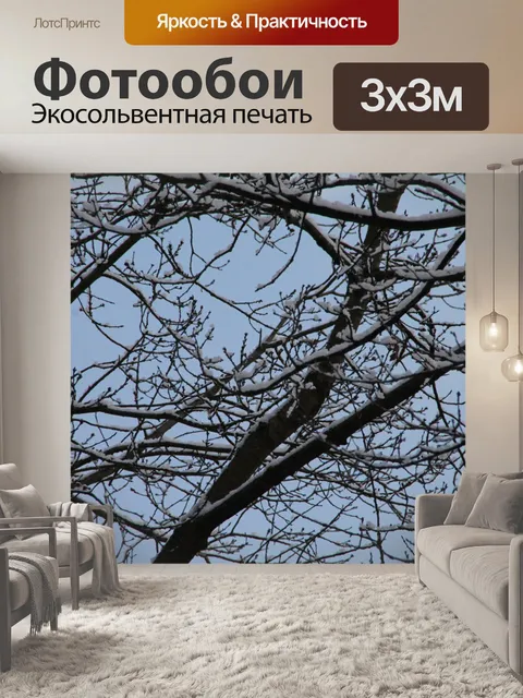 Фотообои Фон