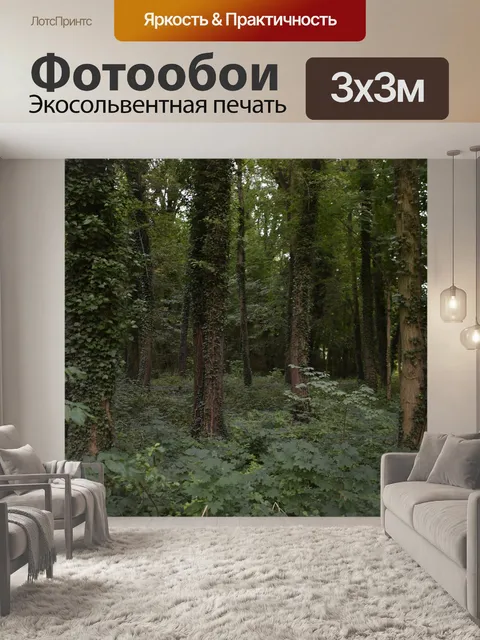 Фотообои Лес