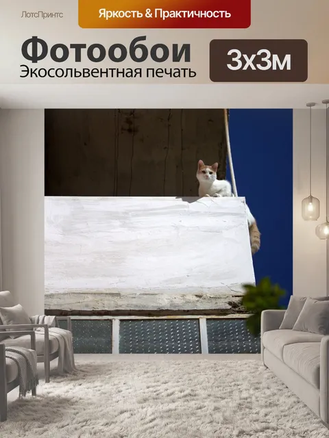 Фотообои Кот