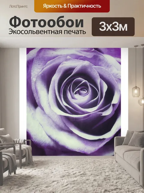 Фотообои Макрос цветка розы