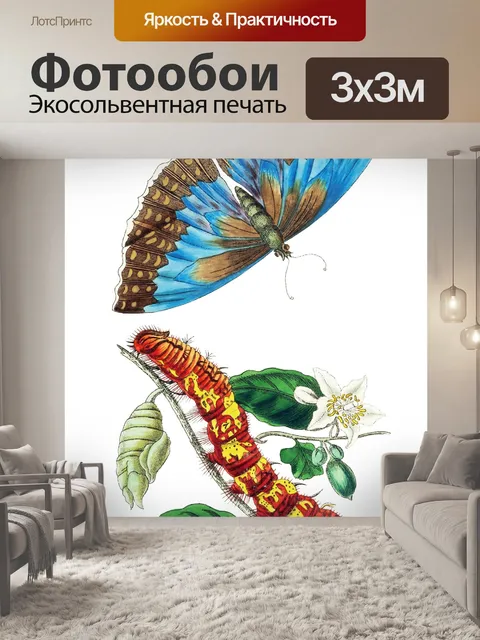 Фотообои Бабочка гусеница винтаж