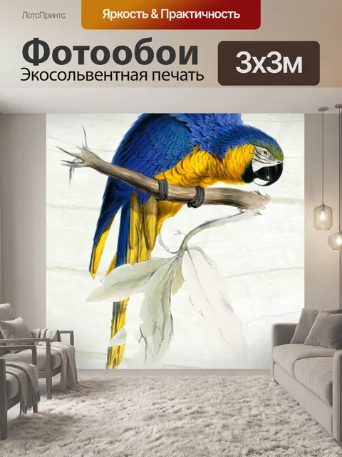Фотообои Попугай
